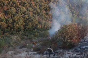 Son dakika! Bağlık alanda çıkan yangın söndürüldü