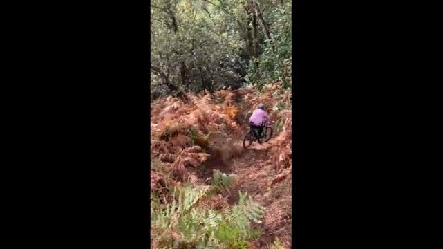 Lurking Tree Leaves Man Sore