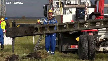 Hungría tumba postes eléctricos para salvar a la avutarda