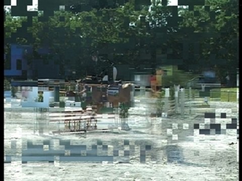 Perelan Ar Park - Vidéo CSO Le Lion d'Angers 2007-07-13