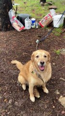 Sudden Campfire Singes Man's Eyebrows