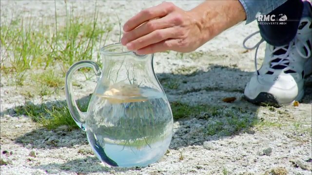 Les mystères de l'univers _ Univers liquides