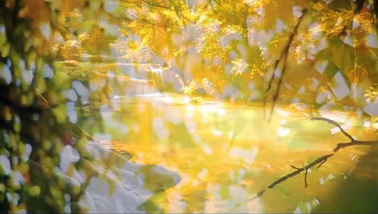 Relaxing and Soothing Music-Video-1-2021