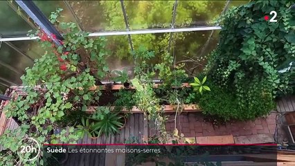 Suède : les maisons sous cloche, une nouvelle tendance