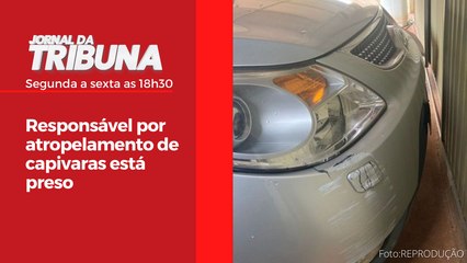Responsável por atropelamento de capivaras está preso
