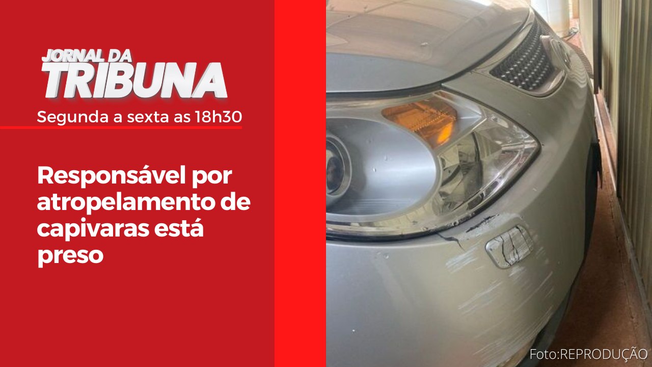 Responsável por atropelamento de capivaras está preso