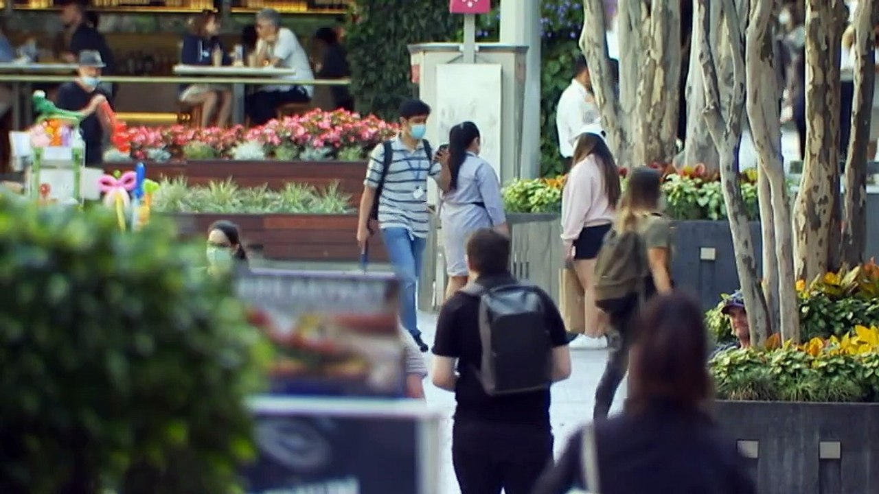 Top doctor demands Annastacia Palaszczuk urgently set border reopening date to bolster COVID-19 vaccine rates