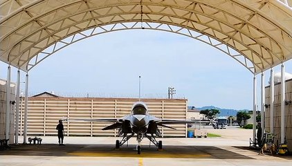 News • Korean Black Eagles • Visit the Wolf Pack