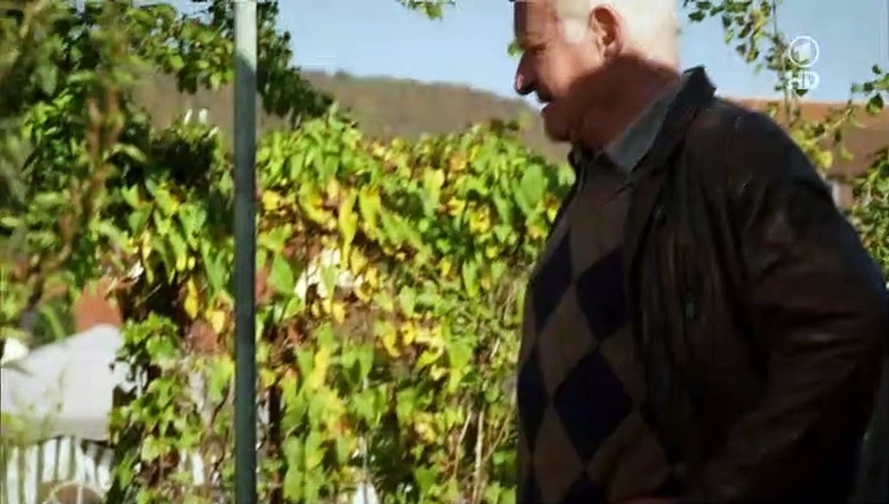 Fuchs und gans - staffel 1 folge 7 - sternschnuppen