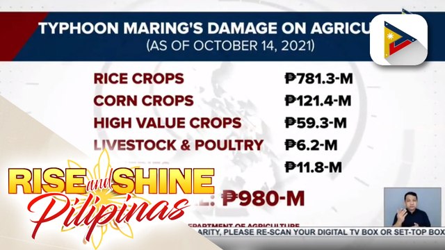 Kabuuang pinsala ng bagyong Maring sa sektor ng agrikultura, umabot na sa P980-M