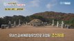 [INCIDENT] The Joseon Royal Tombs Forest Road that opens in the fall!, 생방송 오늘 아침 211015