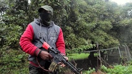 Why armed vigilantes are patrolling avocado farms in Mexico