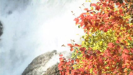 （たおやかインターネット放送)日本の風景秋の岩手県Iwate prefecture in autumn