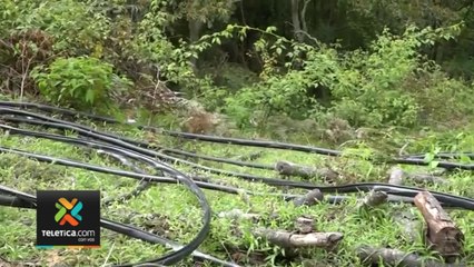 En menos de 3 años el ICE ha perdido ₡7.400 millones en robo de cable