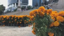 Capital de México prepara el Día de Muertos con miles de flores de cempasúchil
