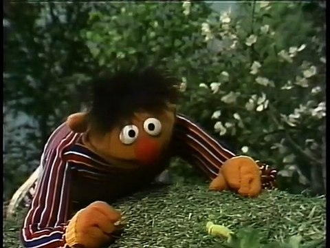 Sesame Street - Sing Hoot and Howl with the Sesame Street Animals (1991 VHS)