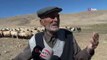 Malatya Koyun Keçi Yetiştiricileri Birliği Başkanı: Çoban bile çobana kız vermiyor, 5 bin liraya çalıştıracak çoban bulamıyoruz