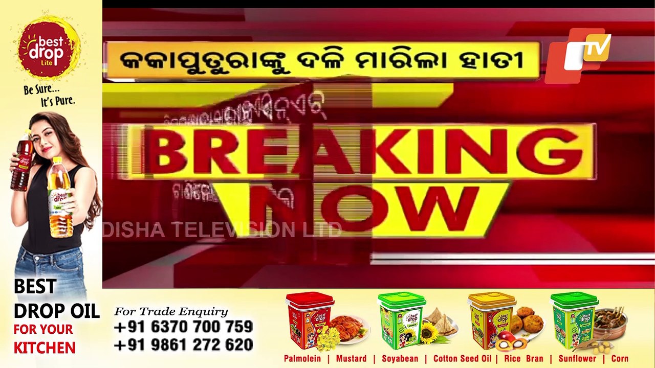 Elephant Tramples Two Of A Family To Death In Odisha’s Redhakhol