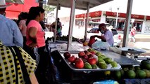 Centro de Mazatlán | 14 de Octubre del 2021 | Parte 3