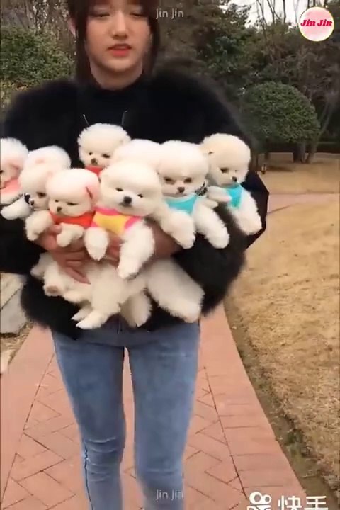 Best Funny Videos  TOP 1