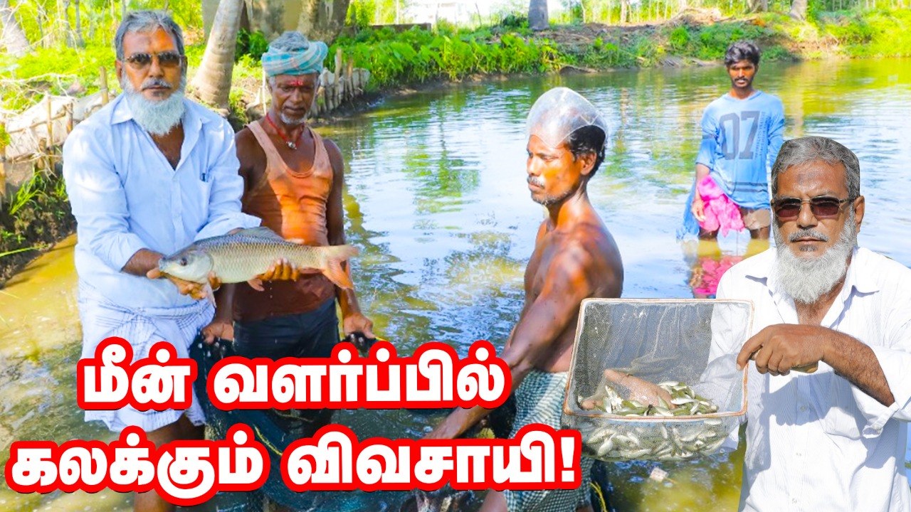 மீன் வளர்ப்பு மற்றும் மீன்குஞ்சு உற்பத்தியில் கலக்கும் விவசாயி! _