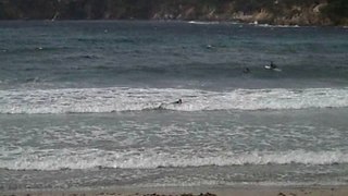 Dan Le Surfeur de Hyeres