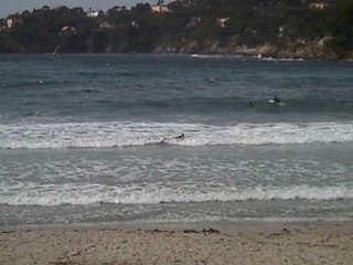 Dan Le Surfeur de Hyeres