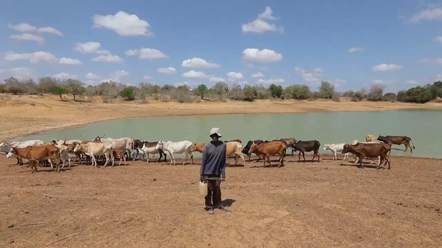 La sequía pone contra las cuerdas a unos dos millones de personas en Kenia