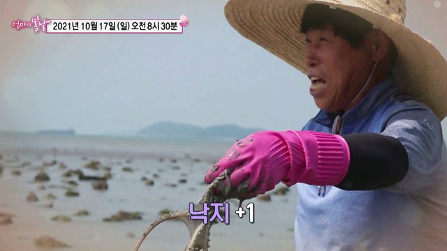 종숙 엄마의 갯벌에서 키운 사랑_엄마의 봄날 318회 예고 TV CHOSUN 211017 방송