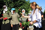Dünya Kadın Çiftçiler Günü'nde tarlada çalışırken gül alan kadınlar şaşırdı