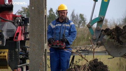 Masten weg! Freie Bahn für Europas schwersten flugfähigen Vogel