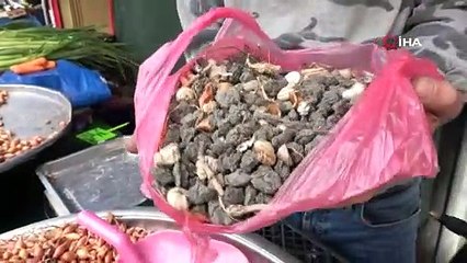 Pazarcı tohumluk soğan aldı, neredeyse yarısı taş çıktı