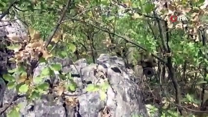 Adıyaman'da terör örgütüne ait patlayıcı ve yaşam malzemesi bulundu