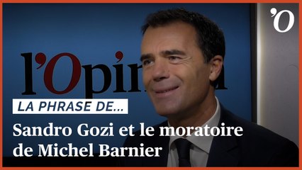 Télécharger la video: Sandro Gozi (eurodéputé): «Le moratoire sur l’immigration de Michel Barnier est un leurre»