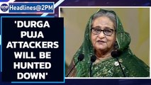 Bangladesh Durga Puja attackers will hunted down, promises Hasina government | Oneindia News