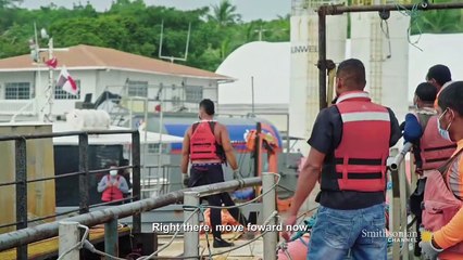 Impossible Repairs : Deep Sea Fish Delivery