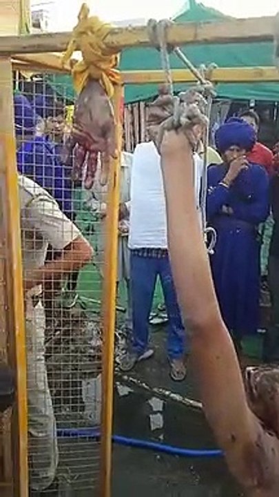 singhu border (6)