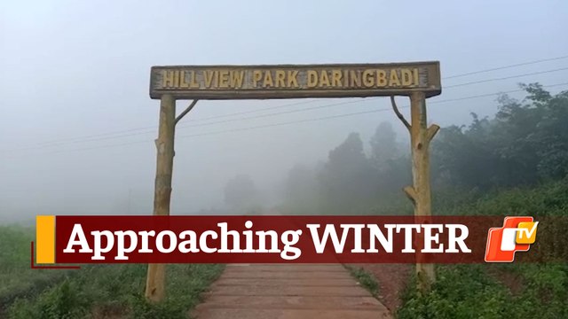 Odisha's Kashmir 'Daringbadi' Witnesses Foggy Conditions Ahead Of Winter