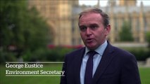 Environment Secretary George Eustice says a scheme to attract butchers to the UK will 'help us to deal with the backlogs of pigs we currently have'