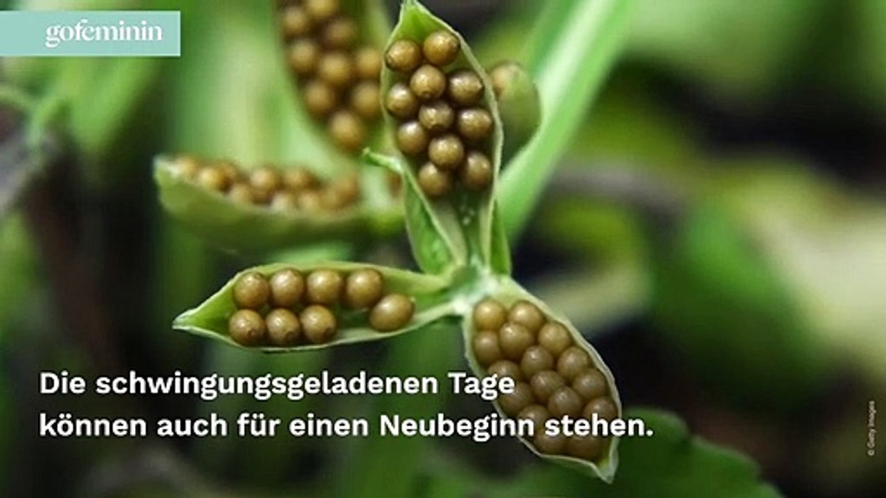 Portaltage 2022: Bedeutung und Wirkung der besonderen Tage