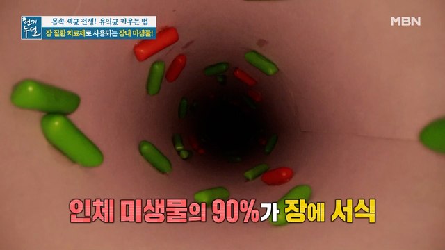 대변 은행의 실체! 장내 미생물로 장 건강 지켜라