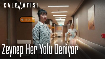 Zeynep her yolu deniyor