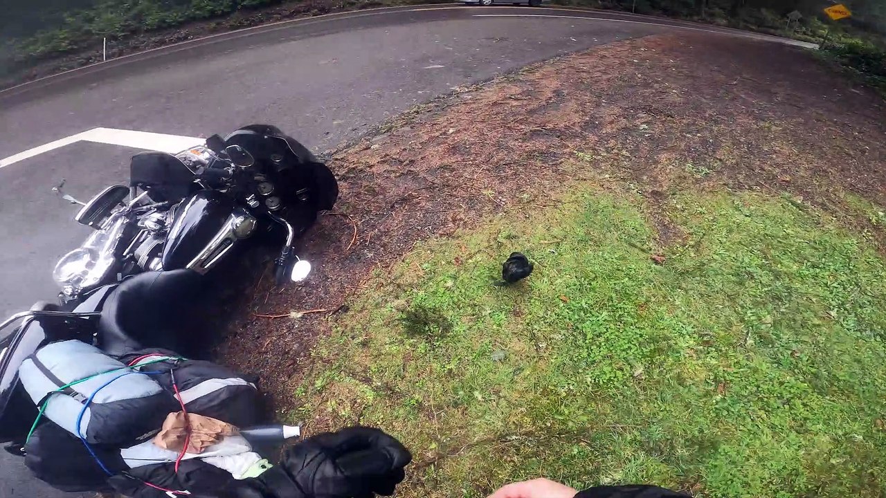 Dream Rides- Pacific Coast Highway: Oregon's Near Disastrous Mishap