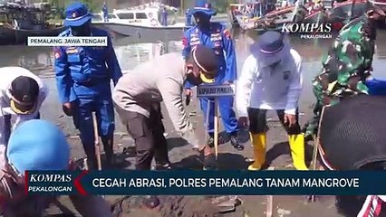 Mageri Segoro, Serentak Tanam Mangrove di Pemalang