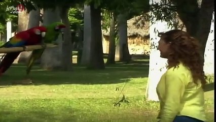 المسلسل المكسيكي ماريا ديل كارمن مدبلج الحلقة 39 الجزء 4