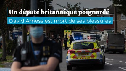 Un député britannique poignardé en pleine permanence parlementaire : David Amess, 69 ans, a succombé à ses blessures
