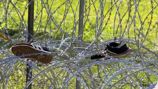 Варшава обвиняет Минск в кризисе на границе