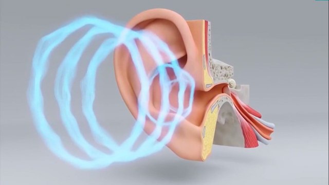 bd-causas-de-dolor-de-oido-cronico-151021
