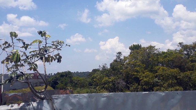 Airbus A330 PR-AIU na aproximação final antes de pousar em Manaus vindo de Campinas