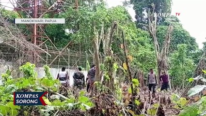Bendera Bintang Kejora Berkibar Di Tower Gunung Meja Manokwari